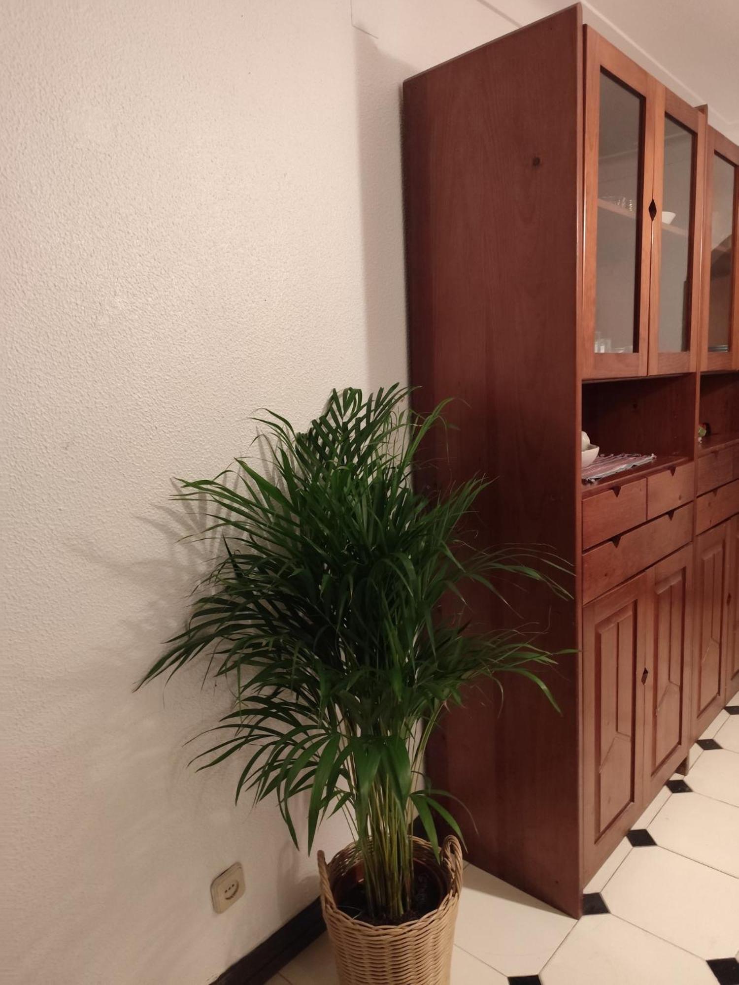 Casa Das Flores Αλμπουφέιρα Εξωτερικό φωτογραφία